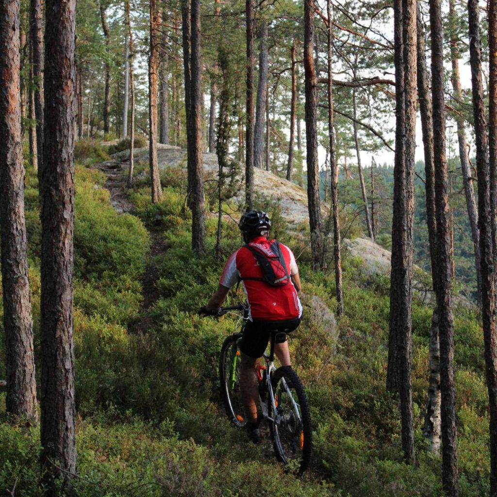 Mäntyharju - Repoveden kansallispuisto